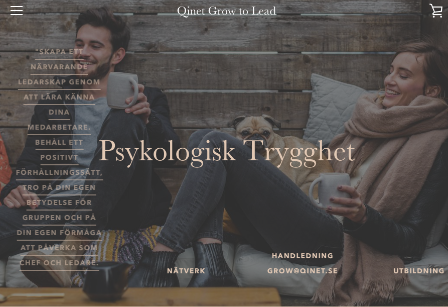 Skapa framgångsrika team, genom Psykologisk Trygghet